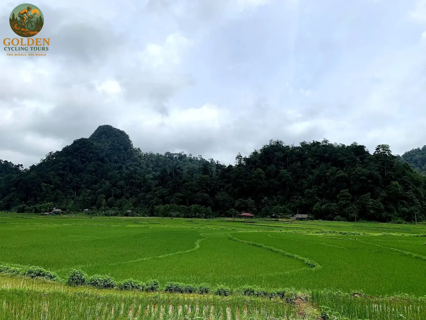12-Day North Vietnam Cycling Adventure: Off the Beaten Path from Hanoi to Ninh Binh